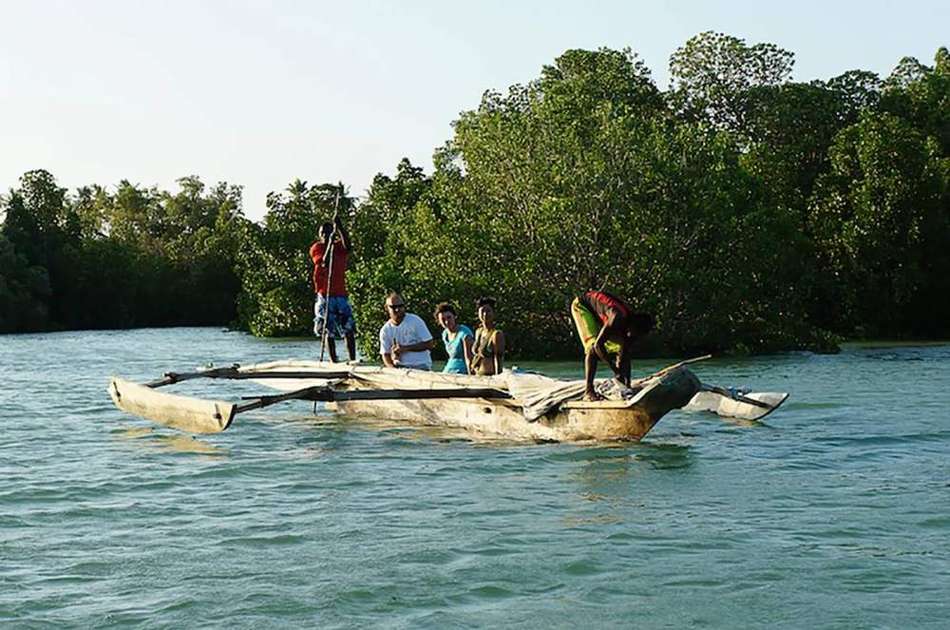 Mangroves at Michamvi